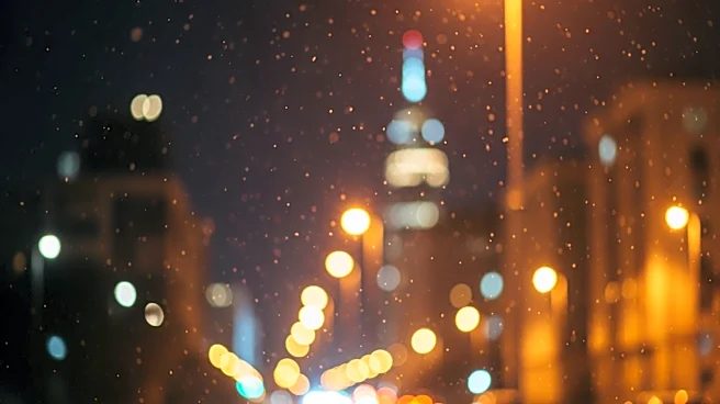 Artificial City Lights Extend Pollen Allergy Season, Affecting Urban Residents