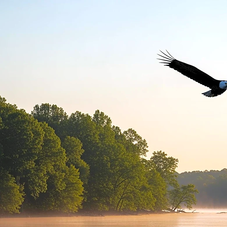 Mitchell Byrd's Conservation Efforts Lead to Bald Eagle Recovery in Virginia