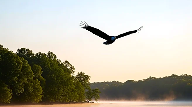 Mitchell Byrd's Conservation Efforts Lead to Bald Eagle Recovery in Virginia