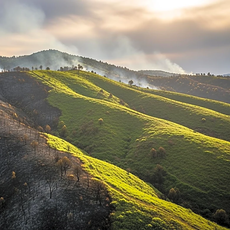 Fire Crews Achieve 45% Containment of Springs Fire in Moreno Valley