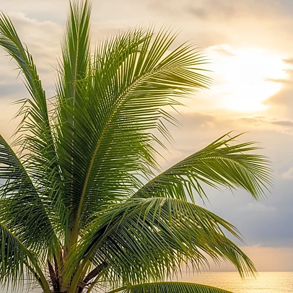 South Florida Weather Update: Sunny Skies Followed by Easter Rain Showers