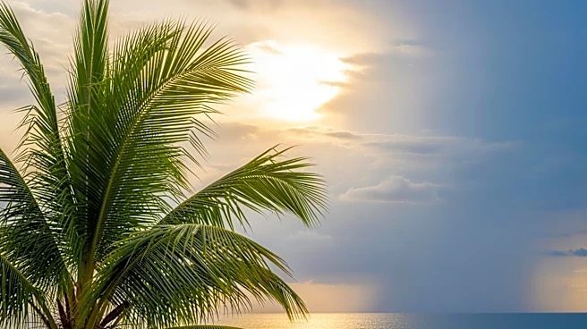 South Florida Weather Update: Sunny Skies Followed by Easter Rain Showers