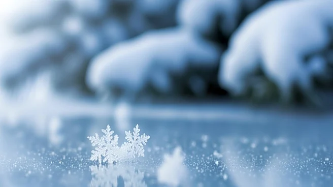 Minnesota Braces for Heavy Snowfall as Storm Approaches