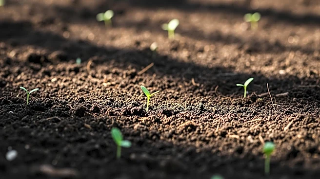 Black Gold Farms Leaders Participate in National Agriculture Day Event Highlighting U.S. Farming