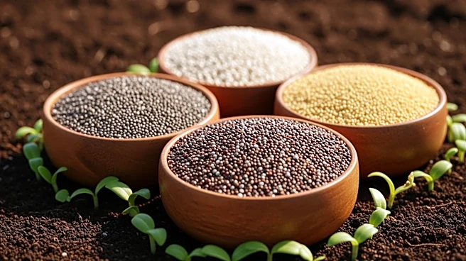 Experts Advocate Indigenous Crops to Enhance Climate-Resilient Agriculture in Nigeria