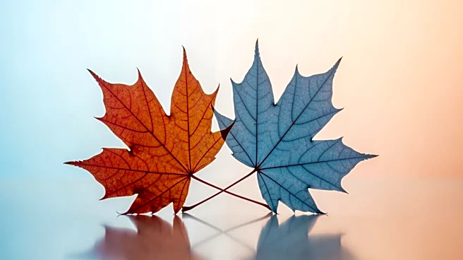 Canadian Rule Change Expands Citizenship Opportunities for Americans