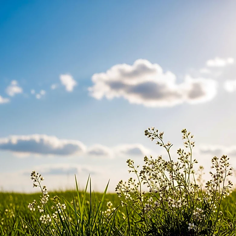 North Texas Prepares for a Pleasant Easter Sunday After Stormy Weather