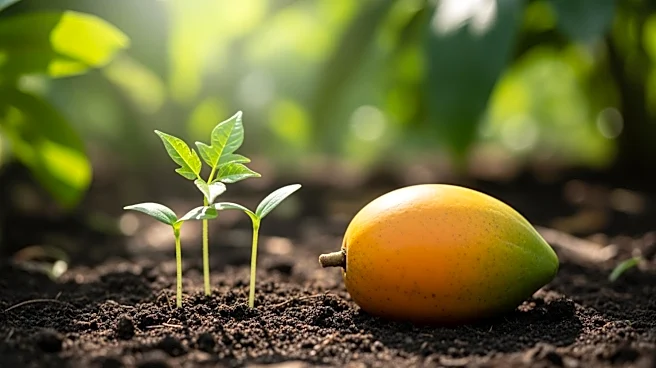 Fiji Cabinet Approves Climate Impact Study for Agriculture