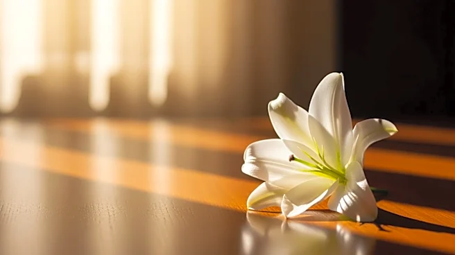 Barry Christopher Balonek Passes Away at 78, Memorial Services to Be Announced