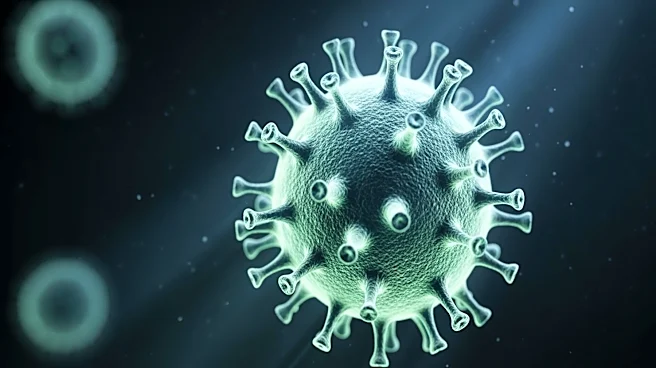 New Covid Variant BA.3.2 Detected in U.S., Experts Advise Caution Over Alarm