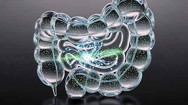 Researchers Identify Gut Biomarkers for Early Detection of Gastrointestinal Diseases