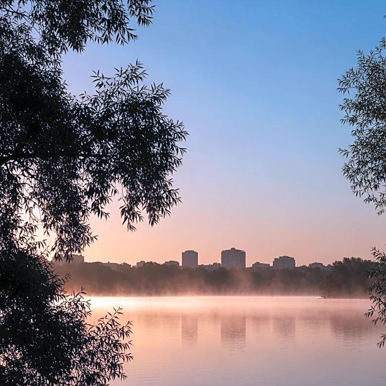 Rena Mary Frigo's Passing: A Tribute to a Lifelong Chicago Resident and Community Member