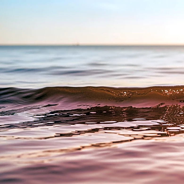 Record High Ocean Temperatures Off Southern California Raise Concerns Over Marine Heatwave Impact