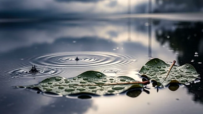 Severe Weather Causes Flooding in Homewood and Flossmoor