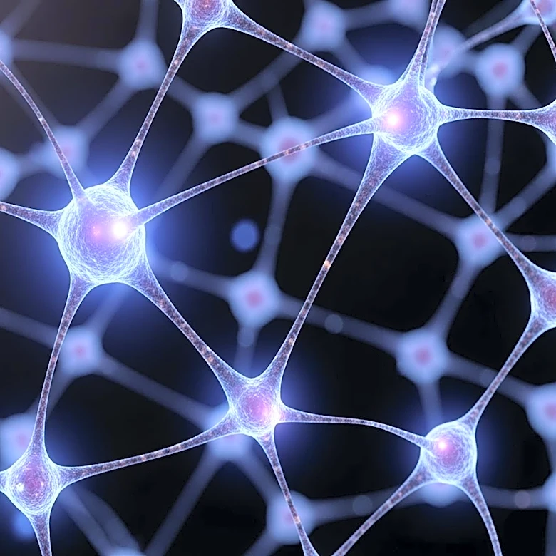 Astrocytes Found to Play Key Role in Fear Memory Processing, Offering New Insights for PTSD Treatment