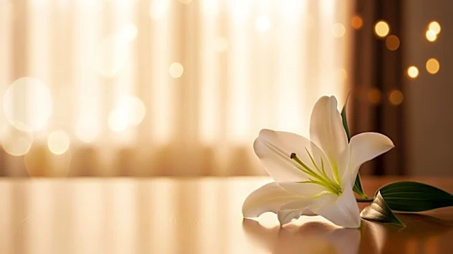 Mary Ann Peters Passes Away at 83, Private Burial and Celebration of Life Scheduled