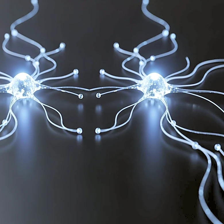 Zhejiang University Research Team Develops AI Model Inspired by Human Brain