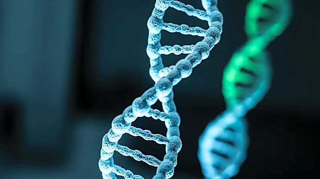 Experimental ALS Treatment Offers Hope for Genetic Form of Disease