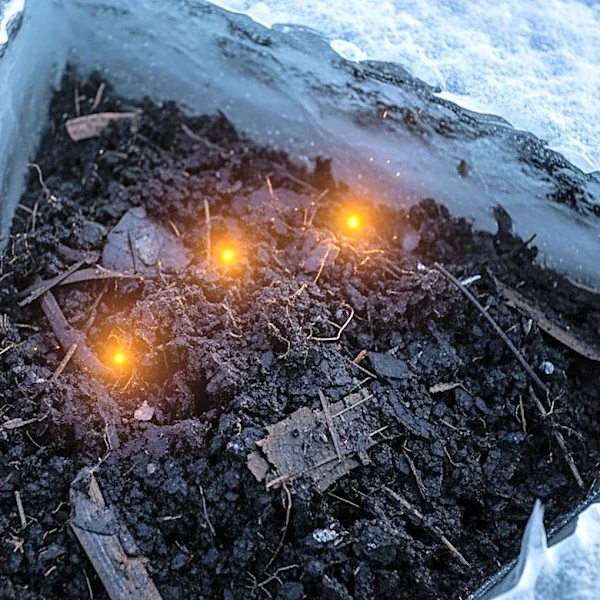 Arctic Thaw Releases Ancient Carbon, Intensifying Global Warming