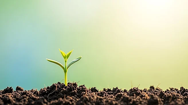 South Korean Study Links High Self-Esteem to Increased Desire for Parenthood