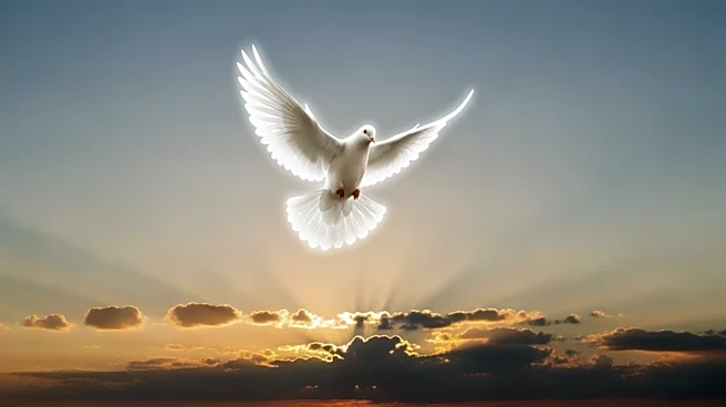 Pope Leo XIV's Easter Message Calls for Peace Amid Global Conflicts