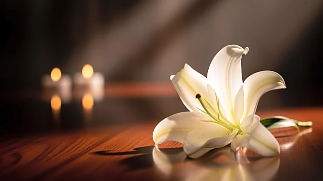 Frank A. Vella, Sr. Remembered in Rochester Obituary