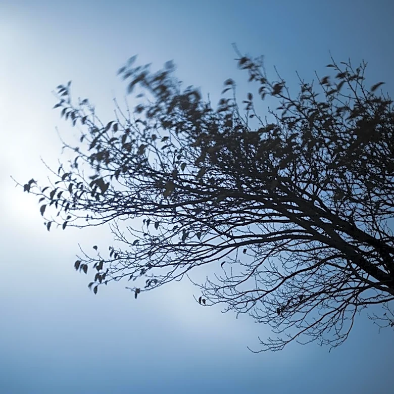 Weather Forecast: Chilly and Breezy Conditions Expected in Detroit