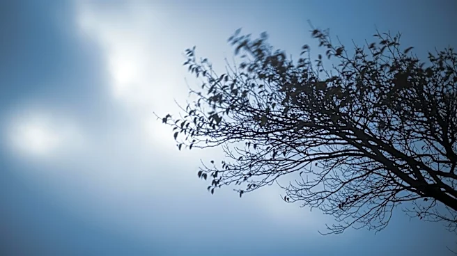 Weather Forecast: Chilly and Breezy Conditions Expected in Detroit