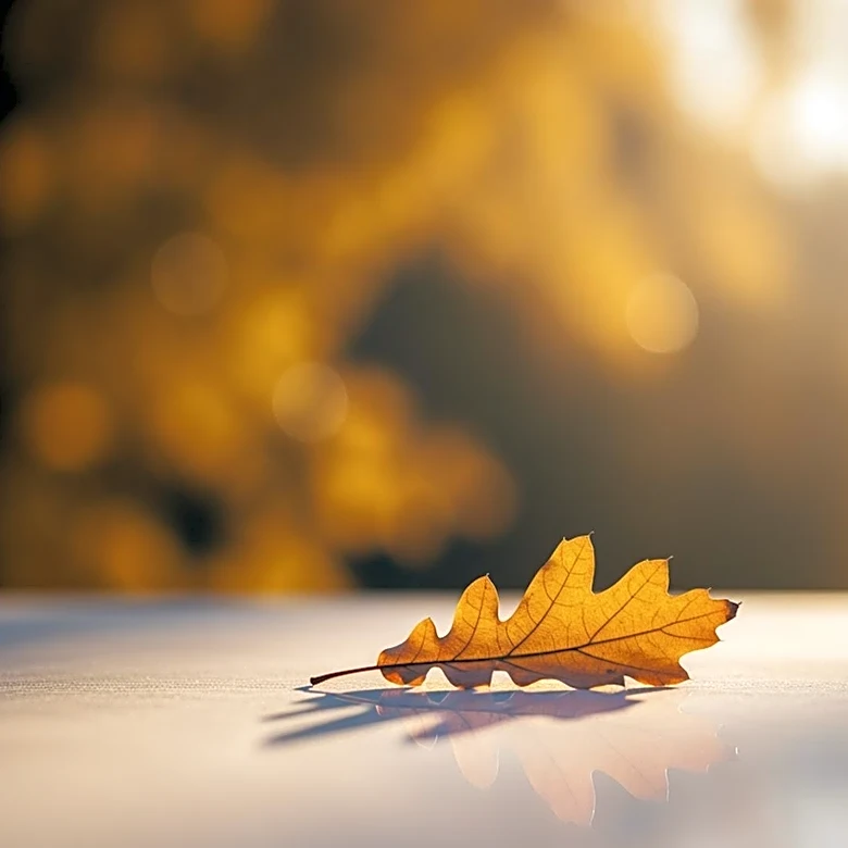 Mary J. Miller of Glenview, IL Passes Away at Age 87