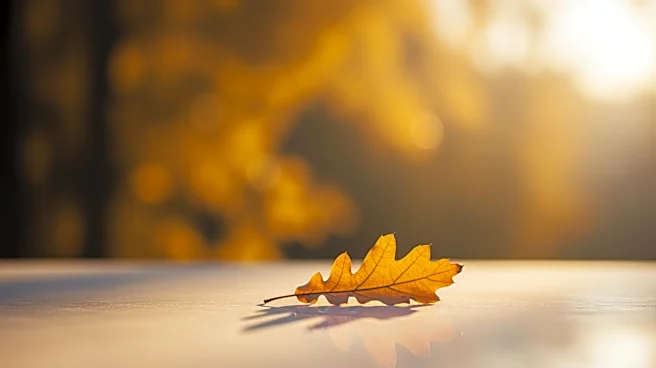 Mary J. Miller of Glenview, IL Passes Away at Age 87