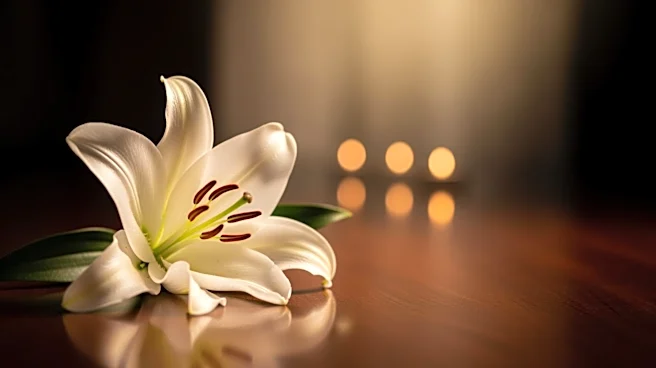 Joyce Ritchey Passes Away at 68, Memorial Services Announced