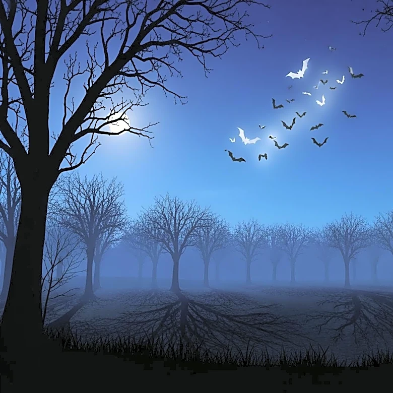 Ukrainian Volunteers Release Bats Rescued from War, Offering Hope Amid Conflict