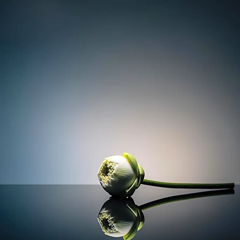 South Korean Intelligence Suggests Kim Jong Un's Daughter as Potential Heir, Indicating Possible Fourth Generation Rule