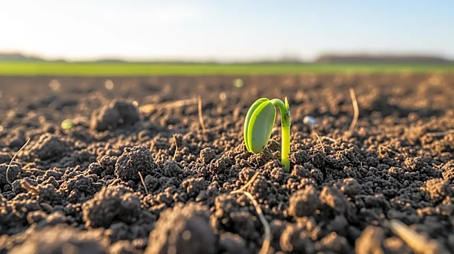 Challenges and Opportunities in U.S. Agriculture Highlighted by Farmer