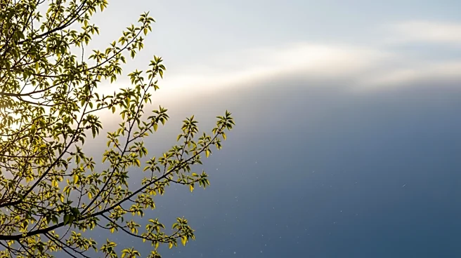 Minnesota Weather Forecast Predicts Milder Easter Sunday Before Unsettled Week