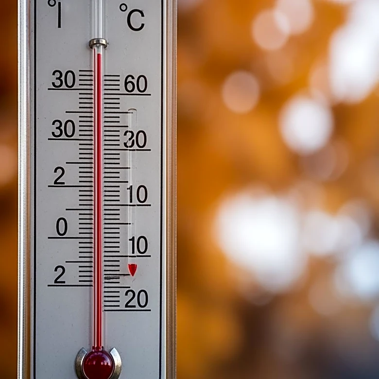 Maryland Experiences Temperature Drop After Fluctuating Weather