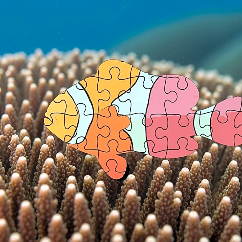 Mutant Clownfish Study Unveils Genetic Mechanism Behind Animal Patterns