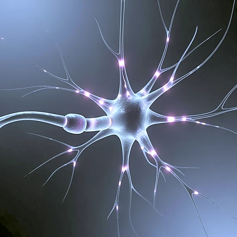 SK Life Science to Present New Epilepsy Data at American Academy of Neurology Meeting