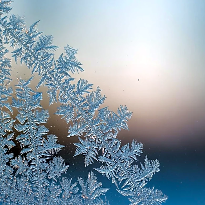 Potential Frost and Freeze Warning Issued for Maryland Amid Weather Changes