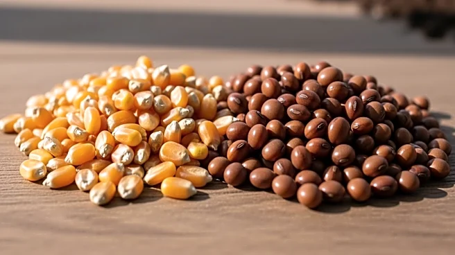 USDA Reports Shift in U.S. Crop Planting: Corn Declines, Soybeans Increase for 2026