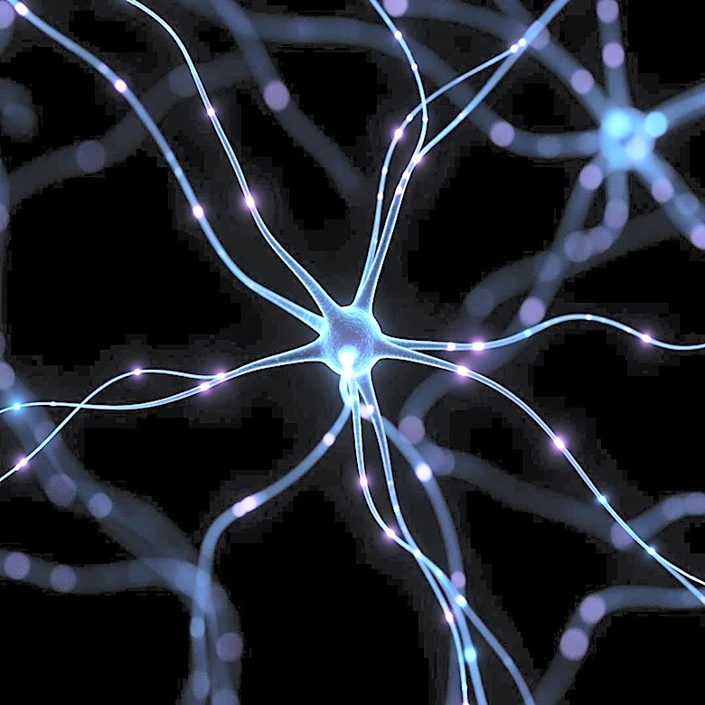 Neuroscientist Christof Koch Challenges Traditional Views on Consciousness