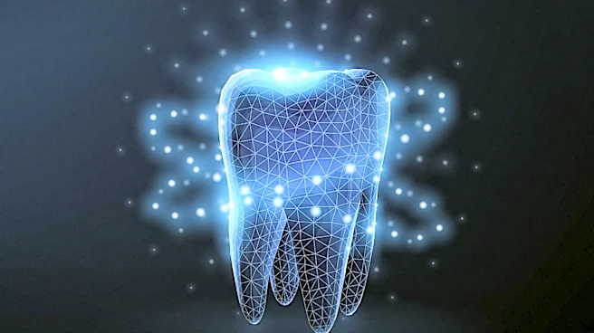 South Florida Company Develops Robots to Enhance Dental Implant Procedures