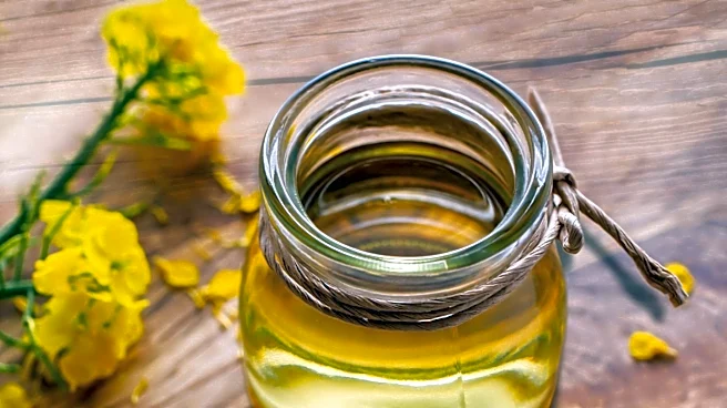 Study Links Midlife Vitamin D Levels to Lower Tau Protein in Brain, Potentially Reducing Dementia Risk