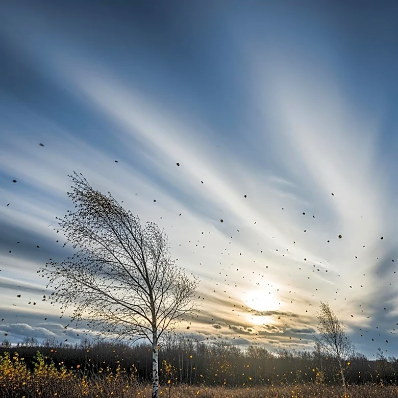 Cooler Weather and Winds Sweep Across the Tri-State Area