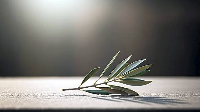 Iran's 'Sacrificing Life' Campaign Sees Millions Volunteer Amid Tensions with U.S.