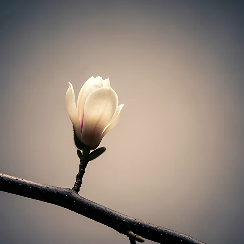 South Korea Identifies Kim Jong Un's Daughter as Potential Successor