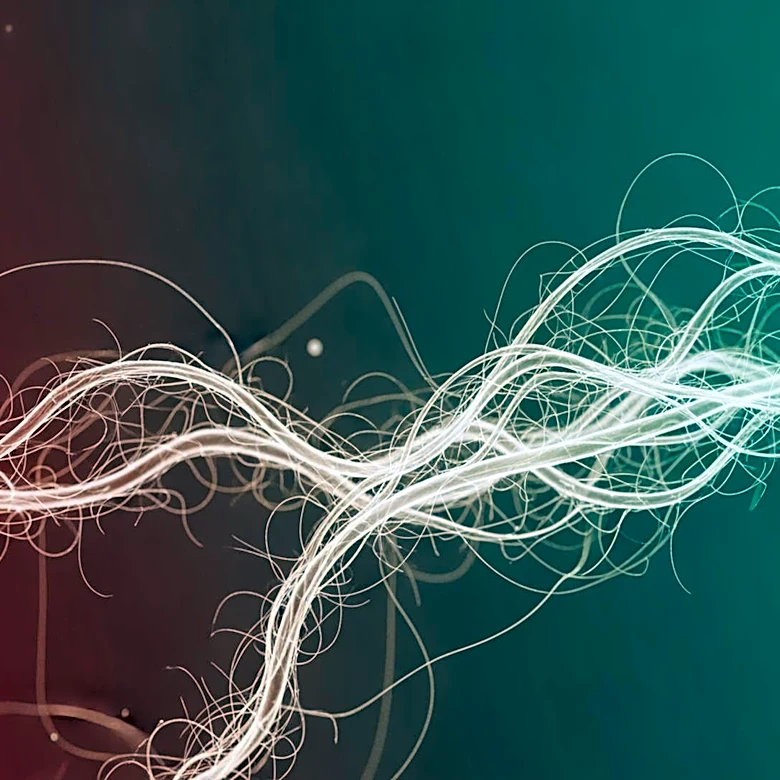 Gut Microbiota's Role in Heart Attack Recovery Explored in New Review