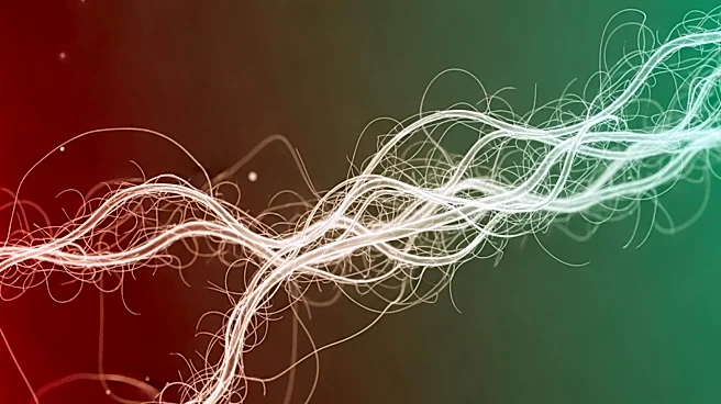 Gut Microbiota's Role in Heart Attack Recovery Explored in New Review