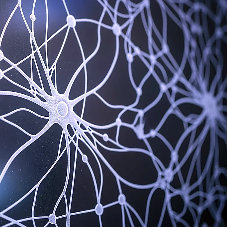 Theoretical Neuroscience Challenges the Concept of the Brain as a Programmable Computer