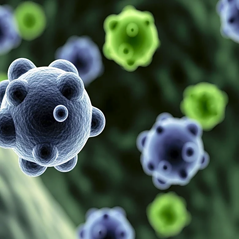 High Rates of iGAS Bacterial Infection Reported in West Hawaiʻi